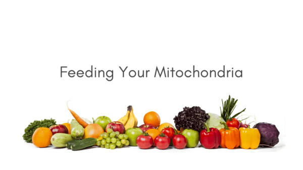 Feeding your Mitochondria Image