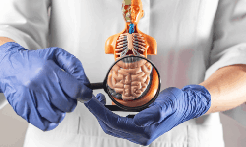 The Impact of SIBO on Gut Disorders