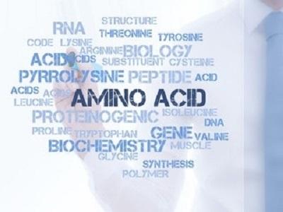 Amino Acids – the Building blocks of Protein