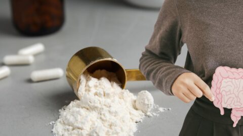 Amino Acids for Gut Health Image