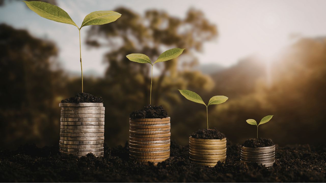 Bio-Hack Your Way to Emotional Wealth Image