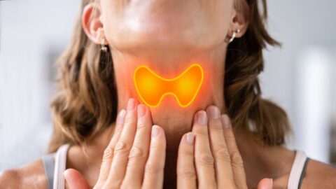 Functional Approach to Hashimoto's Thyroiditis image