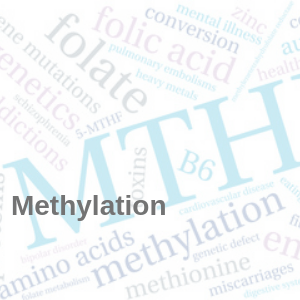 methylation
