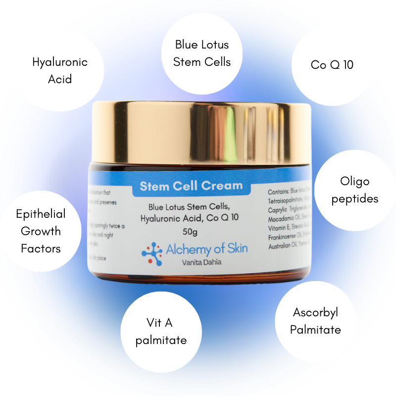 Stem Cell Ingredients Image
